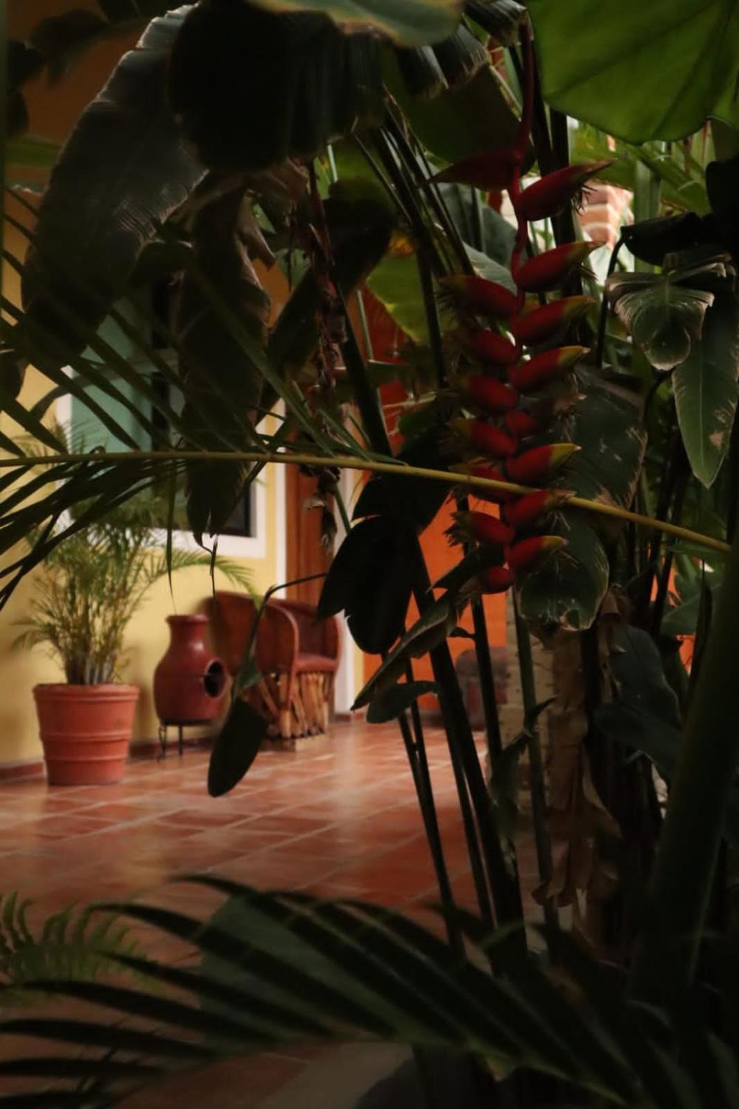 Hotel Boutique Sol Y Luna Spa Ajijic Eksteriør bilde